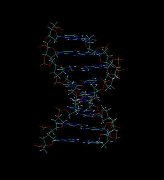 DNA